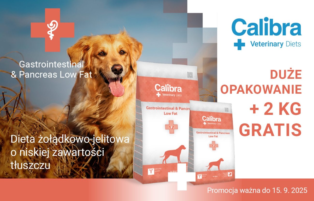 Zdjęcie psa i tekst: Calibra Low Fat: Dieta żołądkowo-jelitowa o niskiej zawartości tłuszczu - duże opakowanie + 2 kg gratis