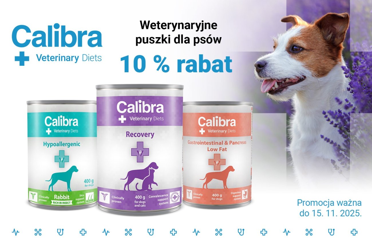 Pies i 3 puszki karmy weterynaryjnej Calibra VD Dog. Tekst: Karma weterynaryjna dla psów 10% zniżki, ważna do 15.11.2025 r.