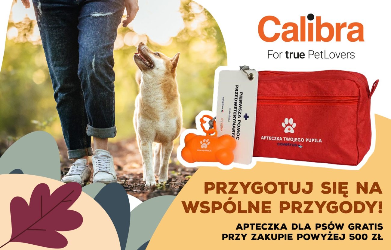 Pes na spacerze i apteczka oraz tekst Przygotuj się na letnie przygody! Apteczka dla psów GRATIS przy zakupie powyżej 500 zł