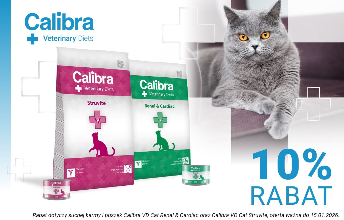 Zdjęcie kota na kanapie oraz sucha i mokra karma Calibra Cat VD Renal i Struvite z napisem: Rabat 10%, ważny do 15.01.2026