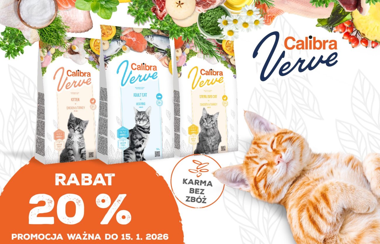 Zadowolony, leżący kot, obok niego 3 opakowania suchej karmy Calibra Verve oraz tekst: Rabat 10% – oferta ważna do 15.12.2025