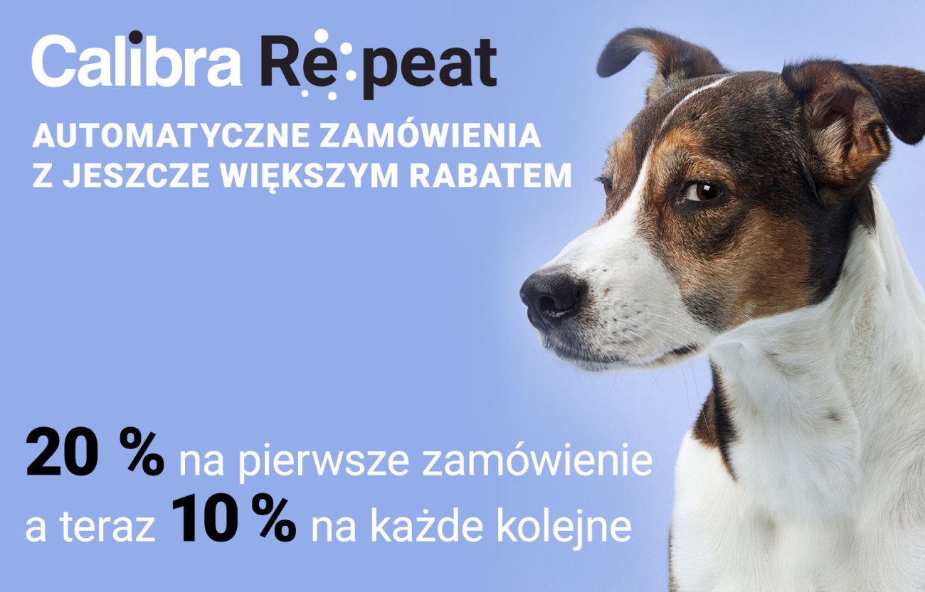 Zdjęcie siwej kotki i tekst 20% zniżki na pierwsze zamówienie, a następnie 5% zniżki na każde automatyczne zamówienie!
