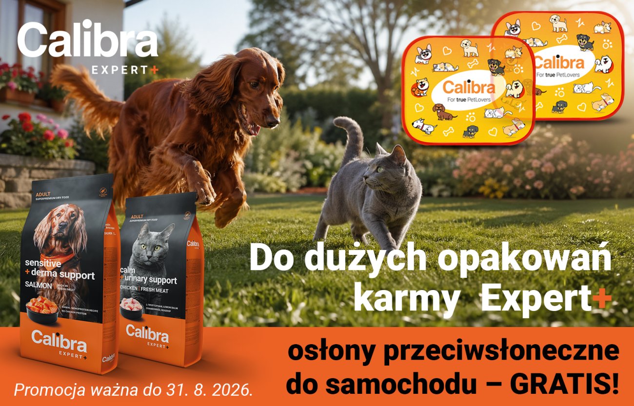 Biegnący pies i kot – do dużego zestawu Expert+ gratis zestaw osłon do samochodu. Oferta ważna do 31 lipca.