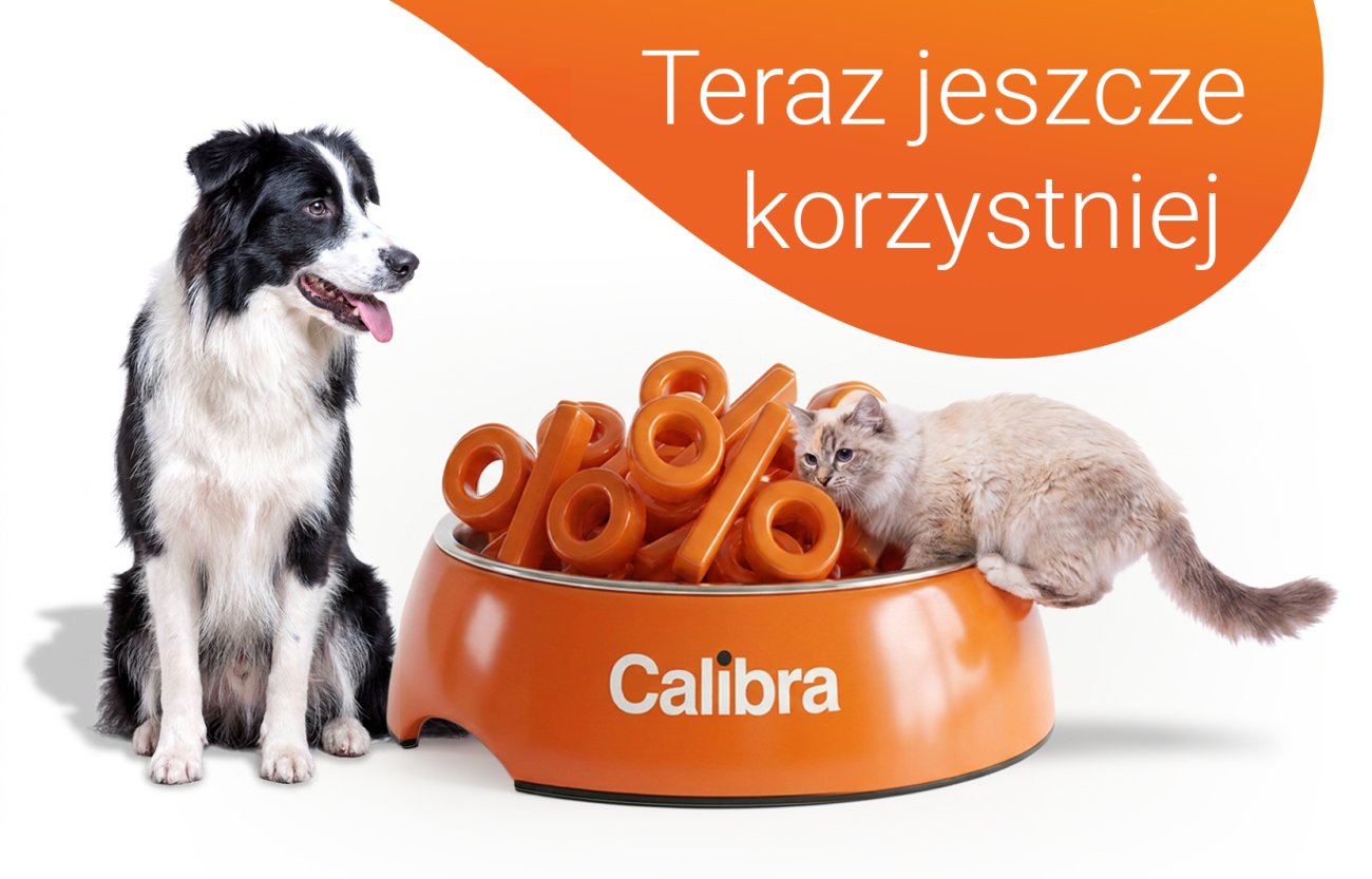 Pies i kot przy pomarańczowej misce pełnej dużych %. Tekst: Teraz jeszcze bardziej opłacalne.